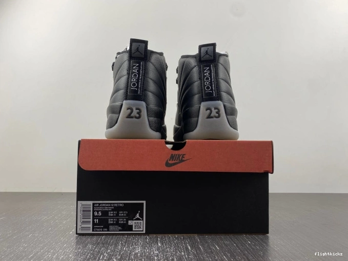 Grey 12 Black Air Wolf CT8013-019 Jordan 1123